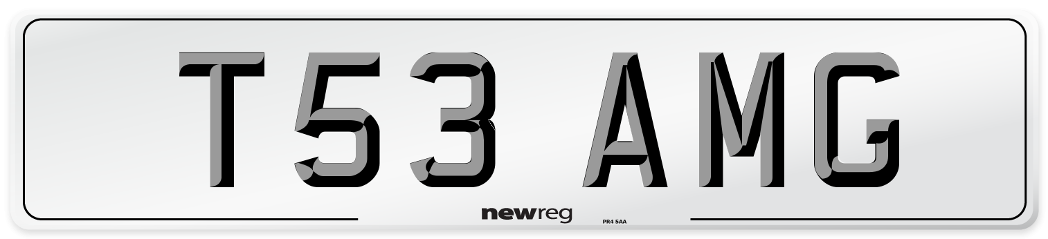 T53 AMG Front Number Plate