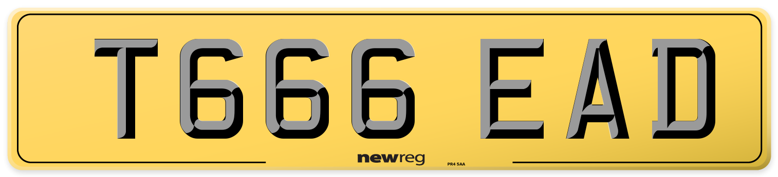 T666 EAD Rear Number Plate