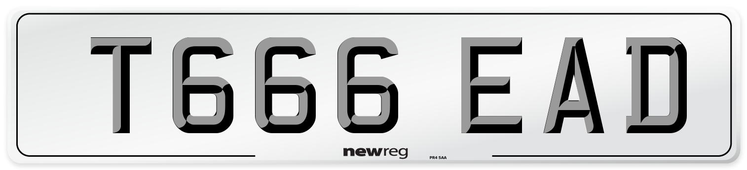 T666 EAD Front Number Plate