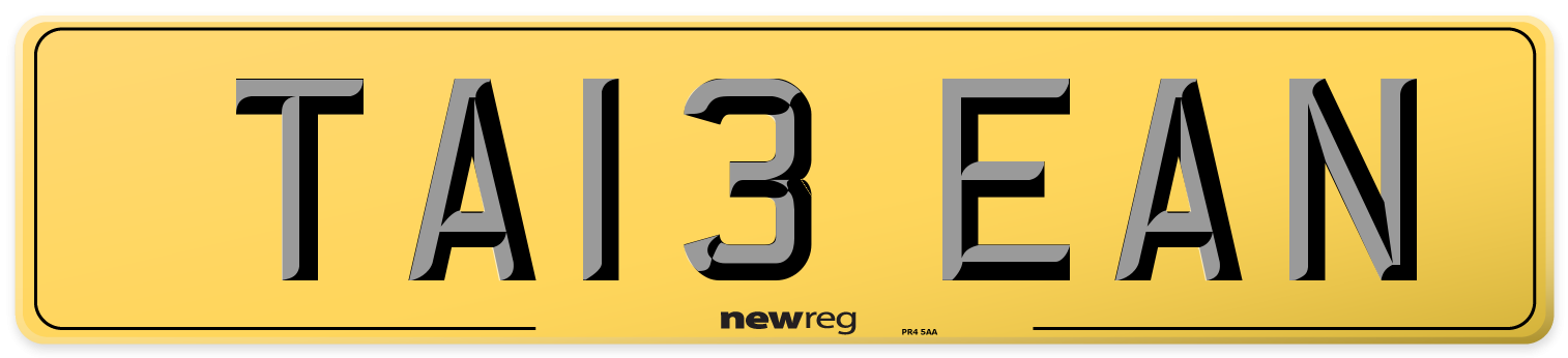 TA13 EAN Rear Number Plate