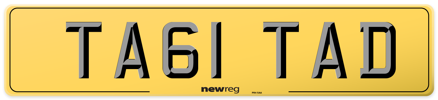 TA61 TAD Rear Number Plate