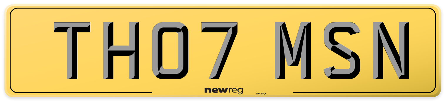 TH07 MSN Rear Number Plate