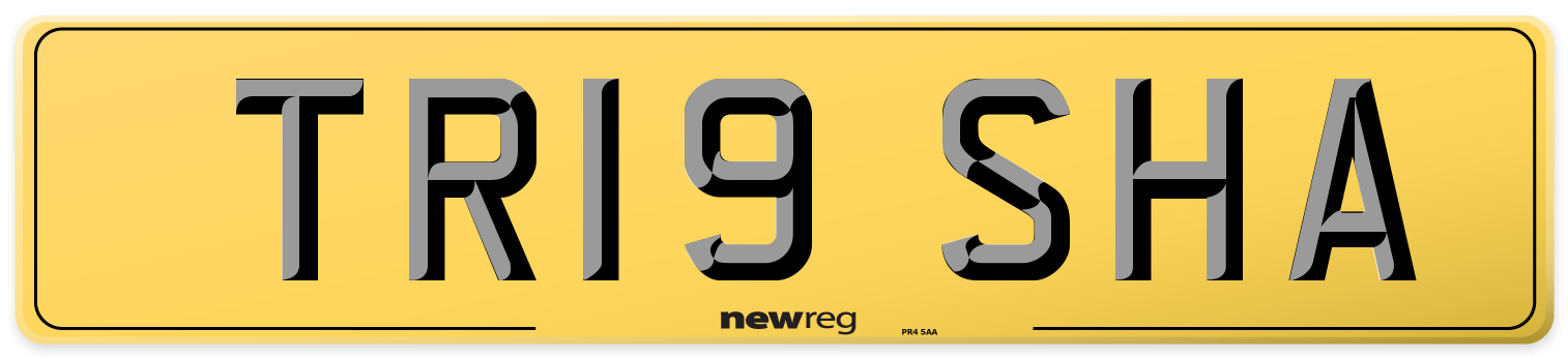 TR19 SHA Rear Number Plate
