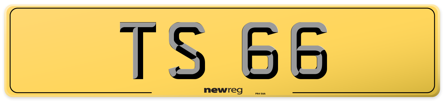 TS 66 Rear Number Plate