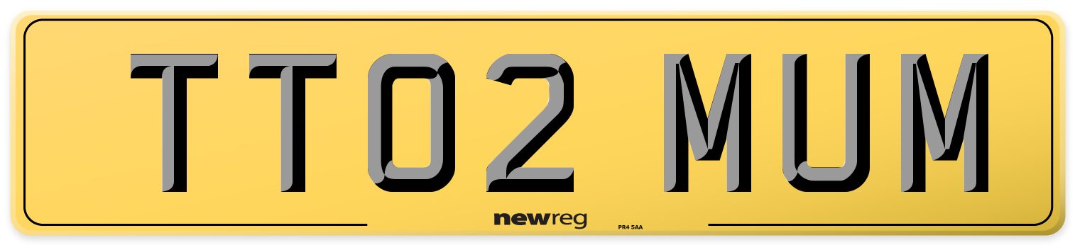 TT02 MUM Rear Number Plate