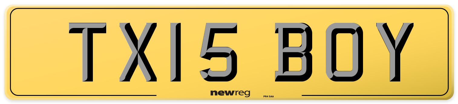 TX15 BOY Rear Number Plate