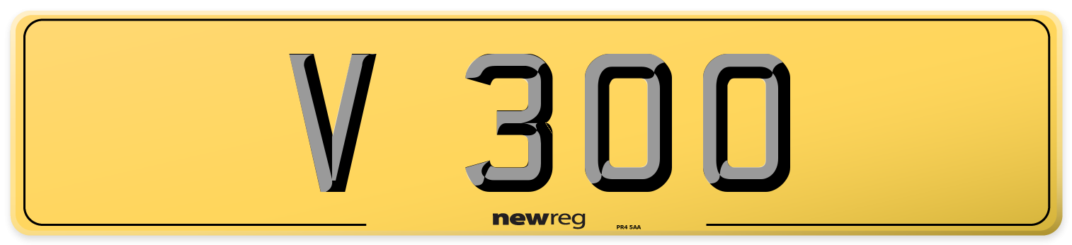 V 300 Rear Number Plate
