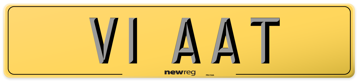 V1 AAT Rear Number Plate