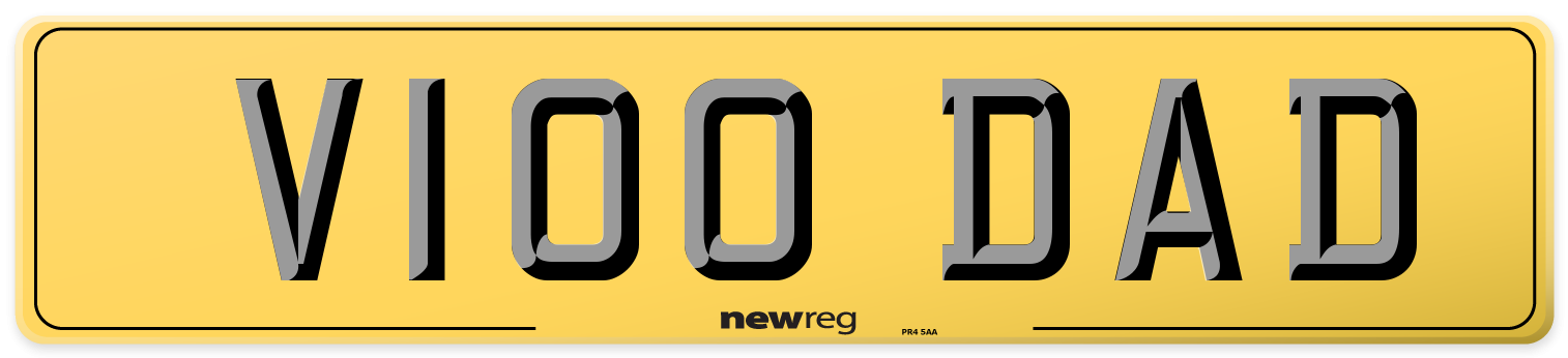 V100 DAD Rear Number Plate