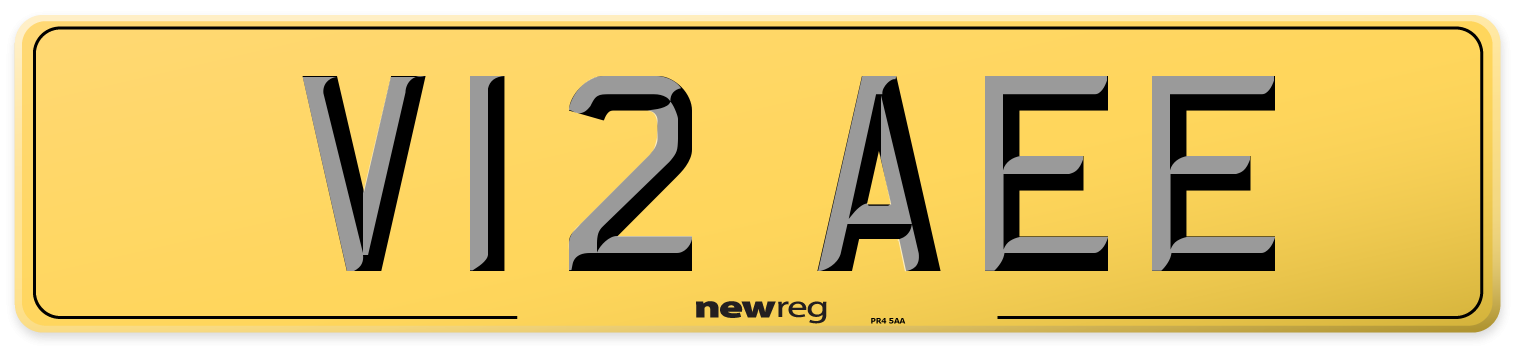 V12 AEE Rear Number Plate