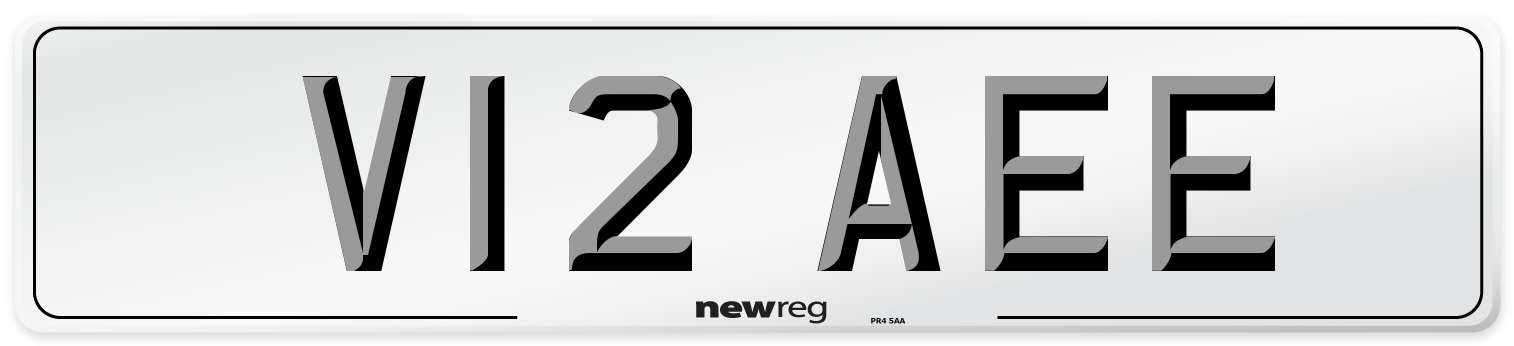V12 AEE Front Number Plate