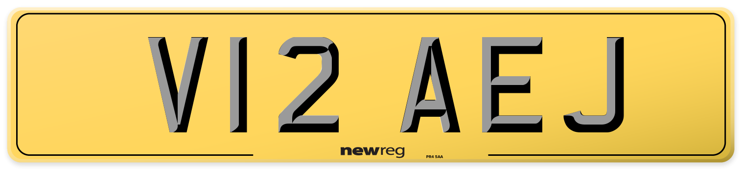 V12 AEJ Rear Number Plate