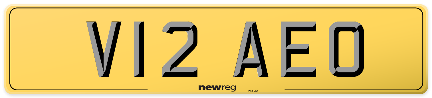 V12 AEO Rear Number Plate
