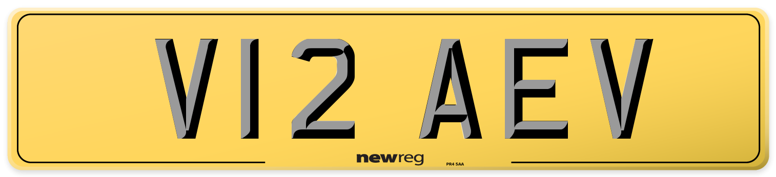 V12 AEV Rear Number Plate