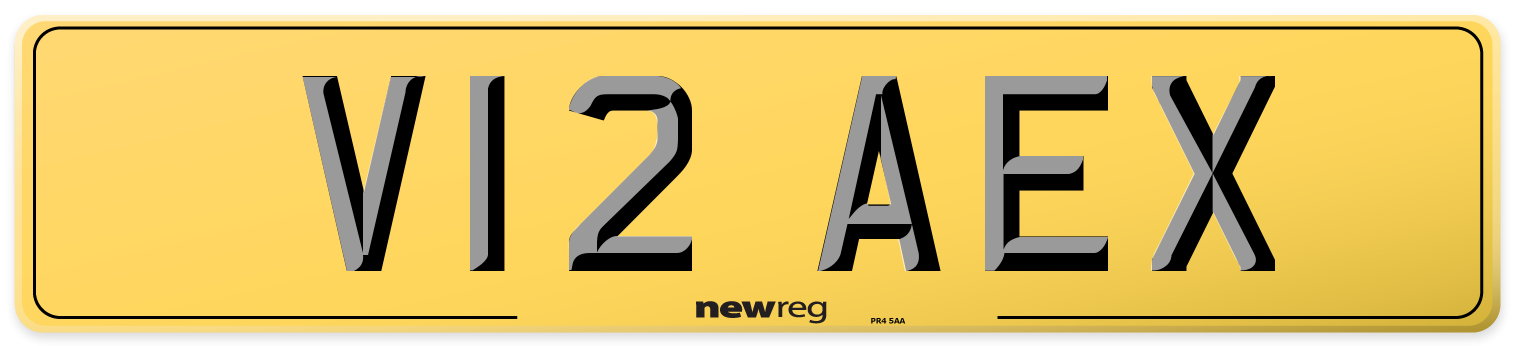 V12 AEX Rear Number Plate