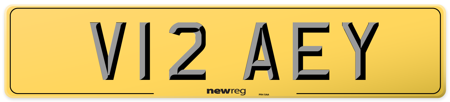 V12 AEY Rear Number Plate