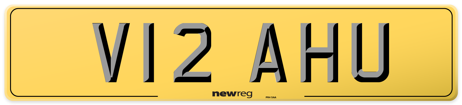V12 AHU Rear Number Plate