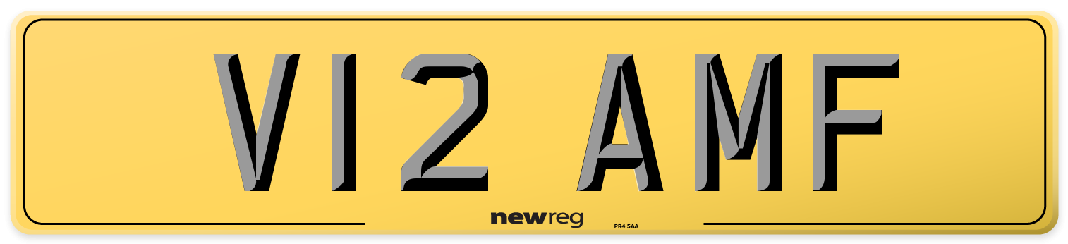 V12 AMF Rear Number Plate