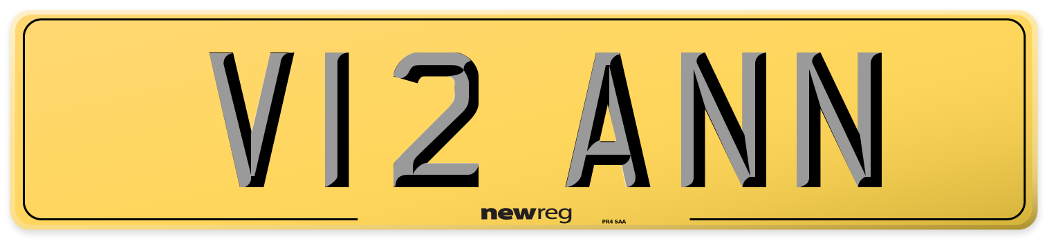 V12 ANN Rear Number Plate
