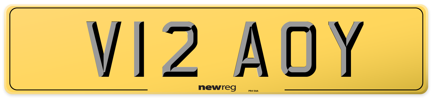 V12 AOY Rear Number Plate