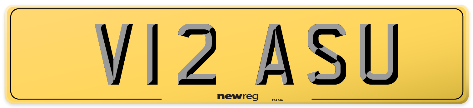 V12 ASU Rear Number Plate