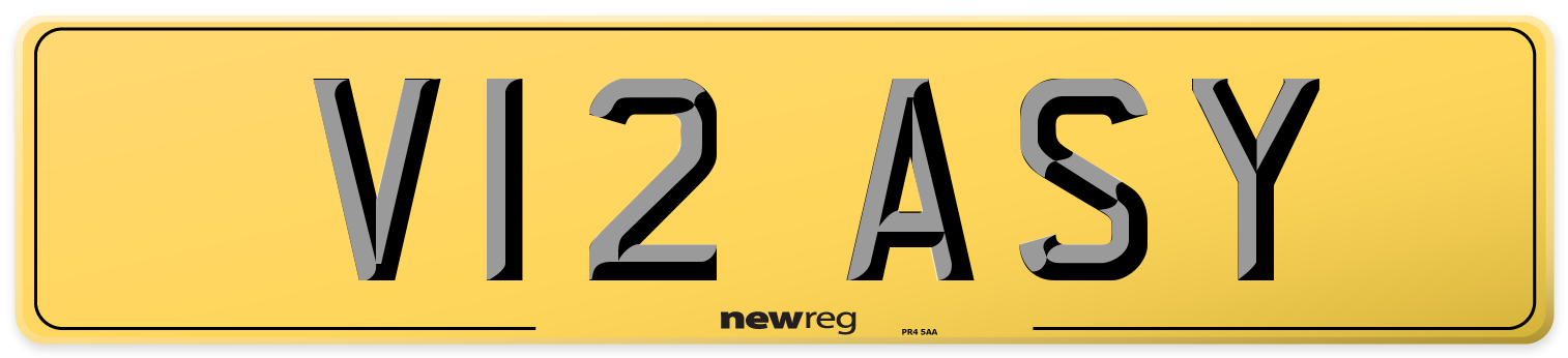 V12 ASY Rear Number Plate