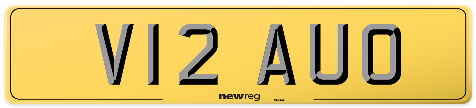 V12 AUO Rear Number Plate