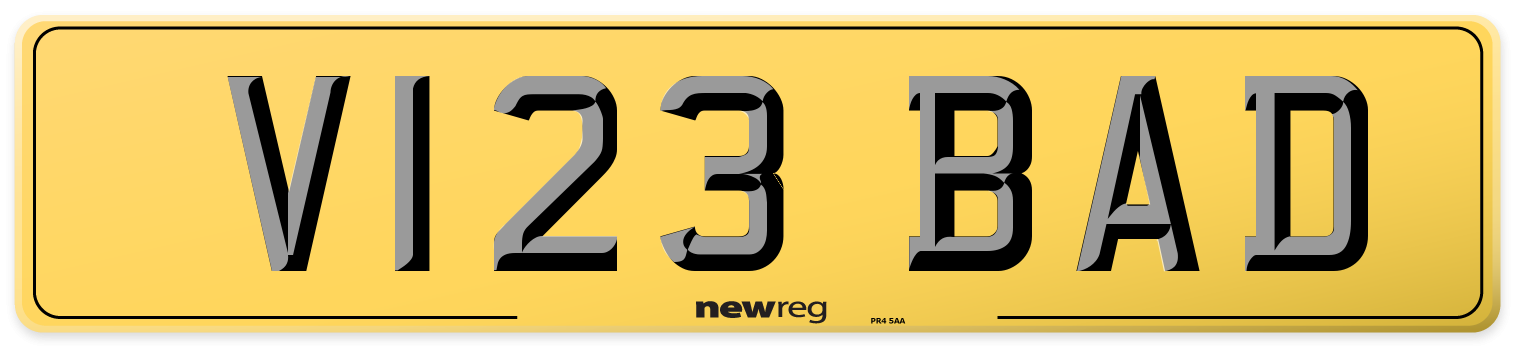 V123 BAD Rear Number Plate
