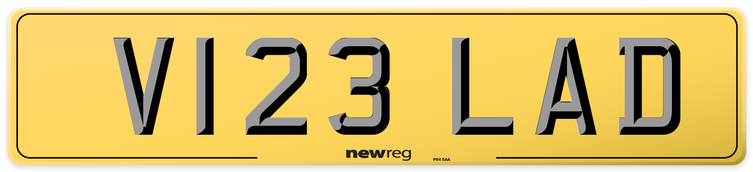 V123 LAD Rear Number Plate
