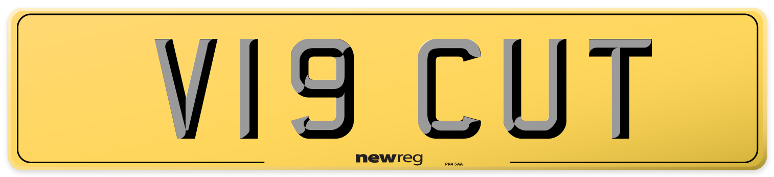 V19 CUT Rear Number Plate