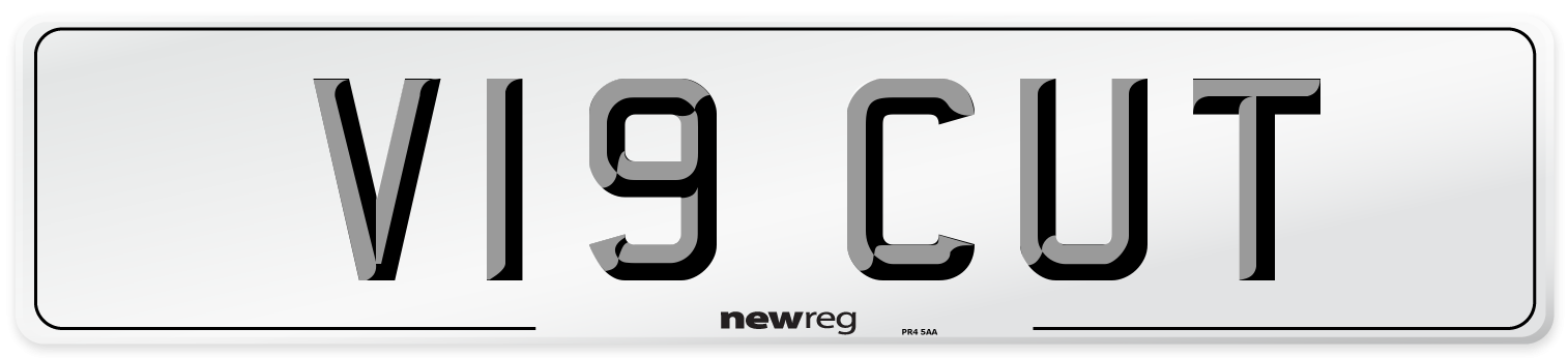 V19 CUT Front Number Plate