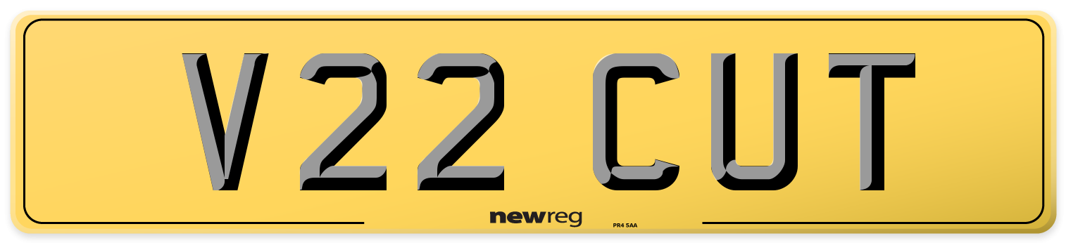 V22 CUT Rear Number Plate