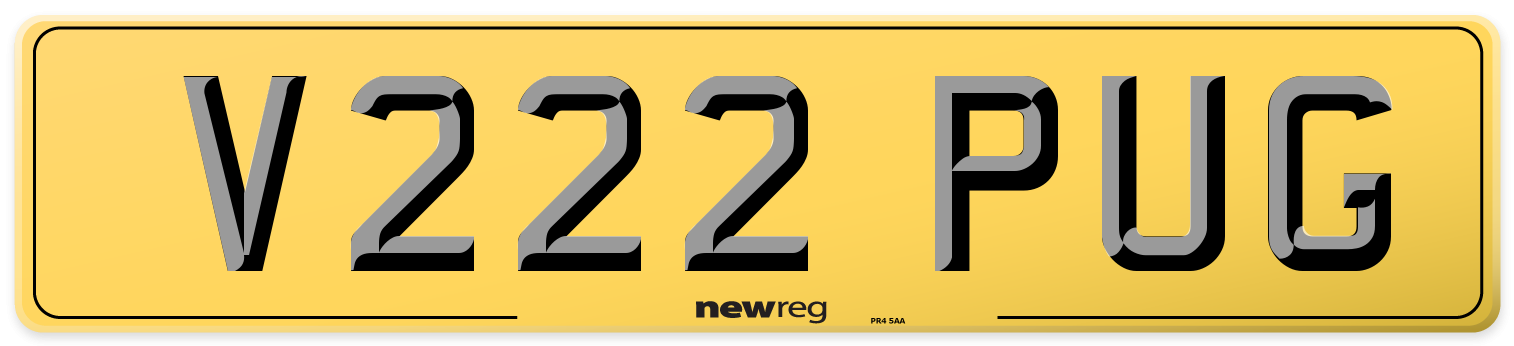 V222 PUG Rear Number Plate