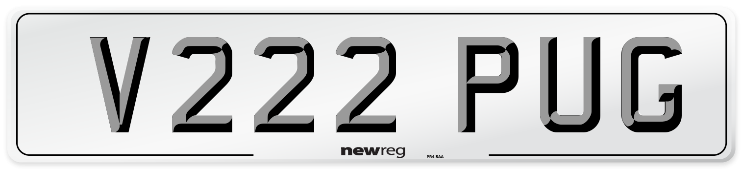 V222 PUG Front Number Plate