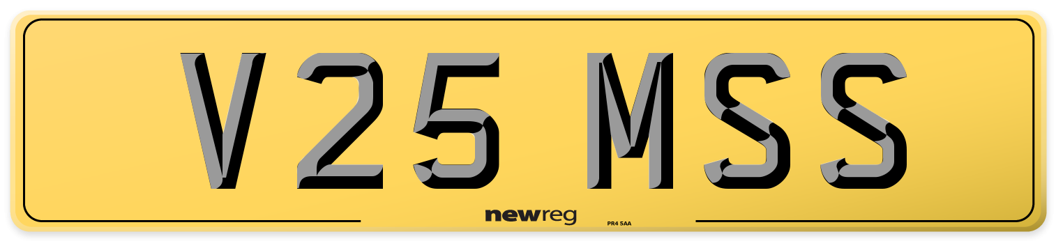 V25 MSS Rear Number Plate
