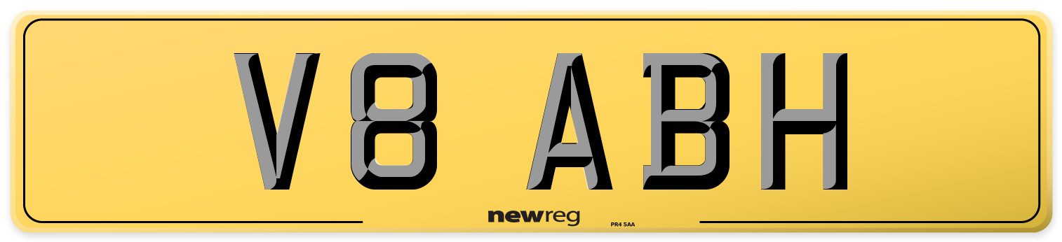 V8 ABH Rear Number Plate