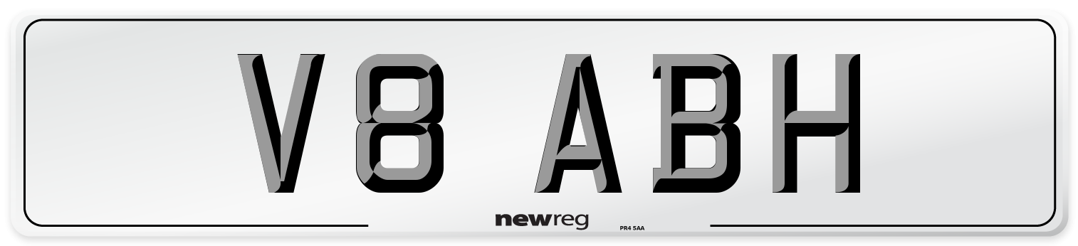 V8 ABH Front Number Plate