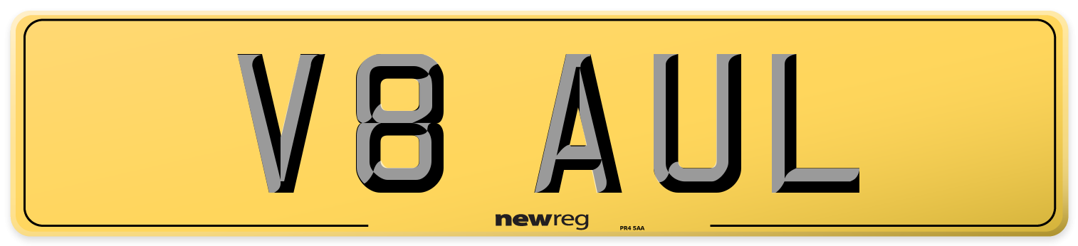 V8 AUL Rear Number Plate