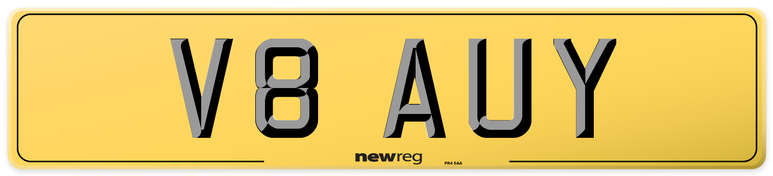 V8 AUY Rear Number Plate
