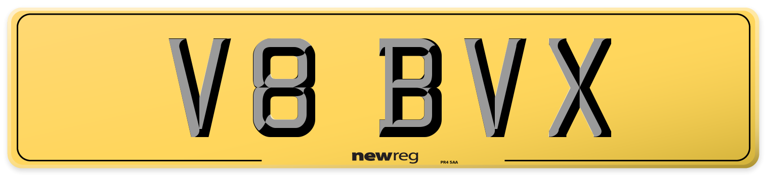 V8 BVX Rear Number Plate