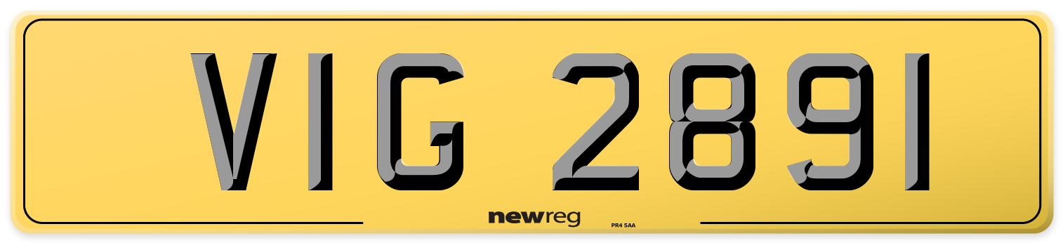 VIG 2891 Rear Number Plate