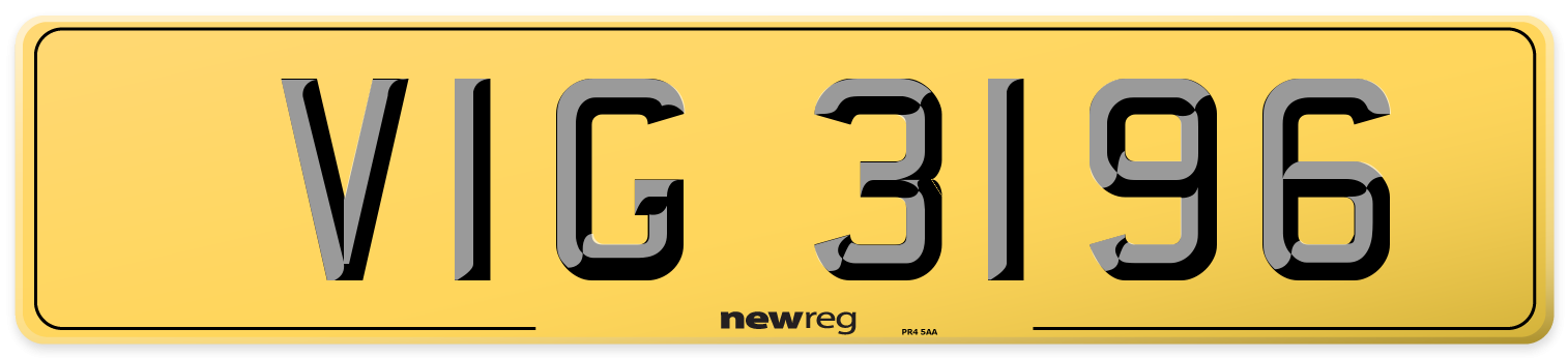 VIG 3196 Rear Number Plate