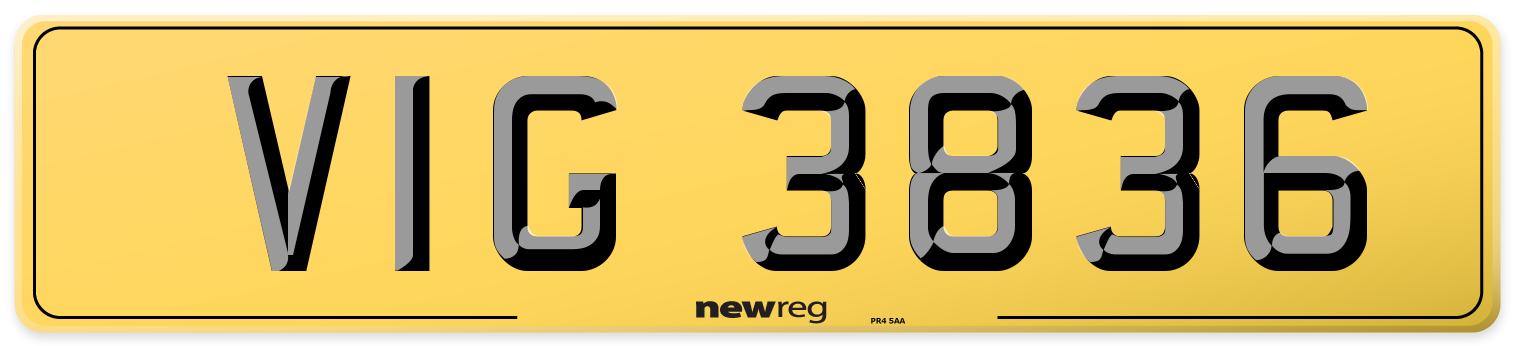 VIG 3836 Rear Number Plate