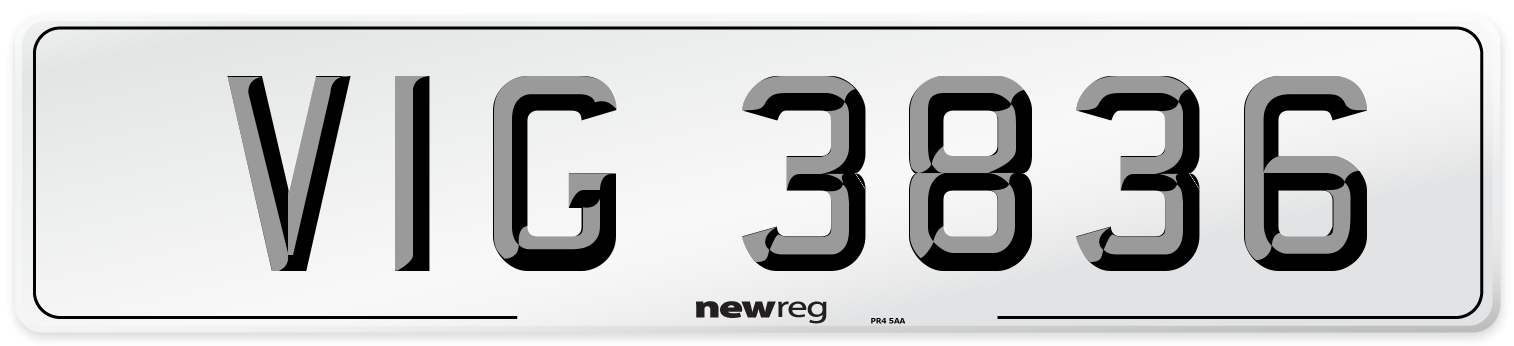 VIG 3836 Front Number Plate