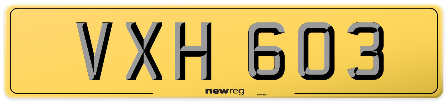 VXH 603 Rear Number Plate