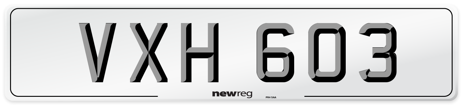 VXH 603 Front Number Plate
