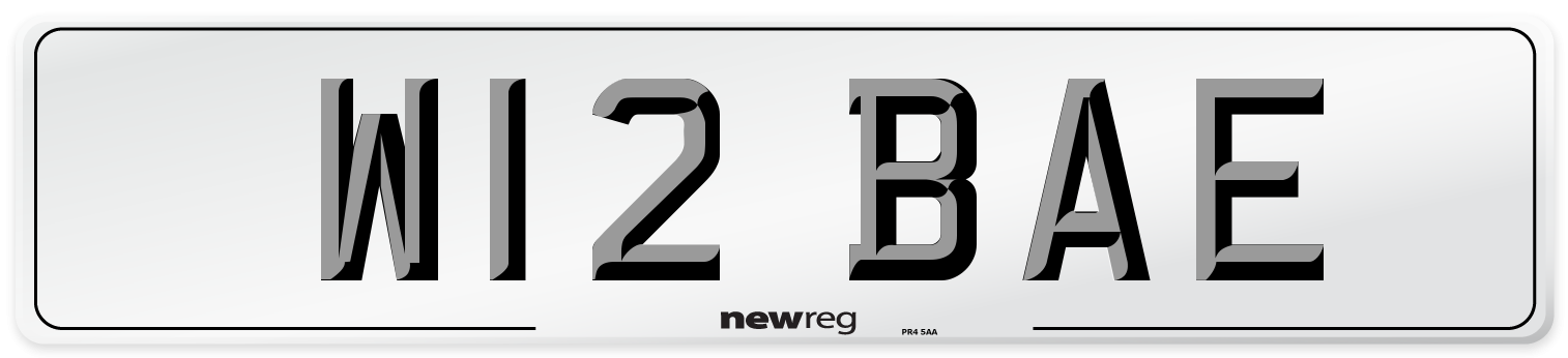 W12 BAE Front Number Plate
