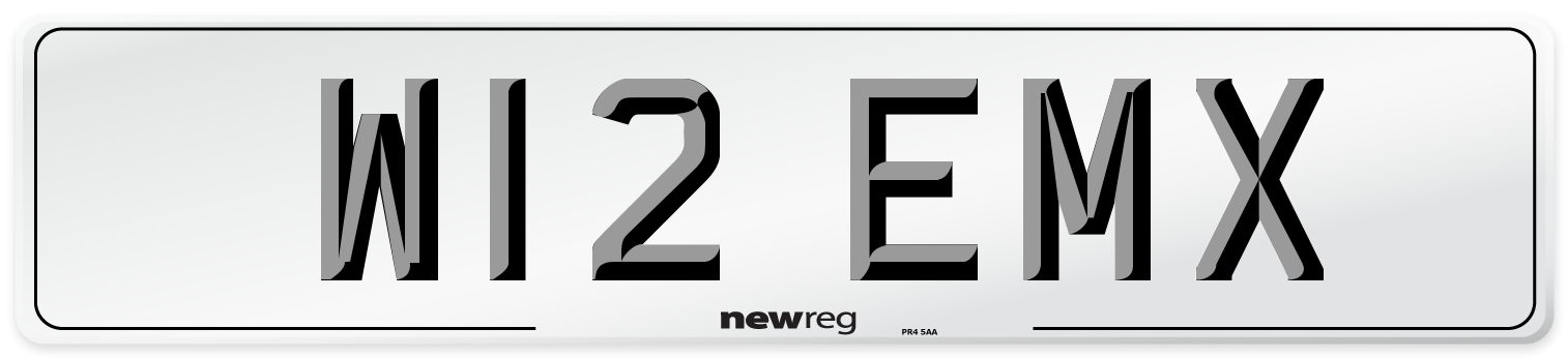 W12 EMX Front Number Plate