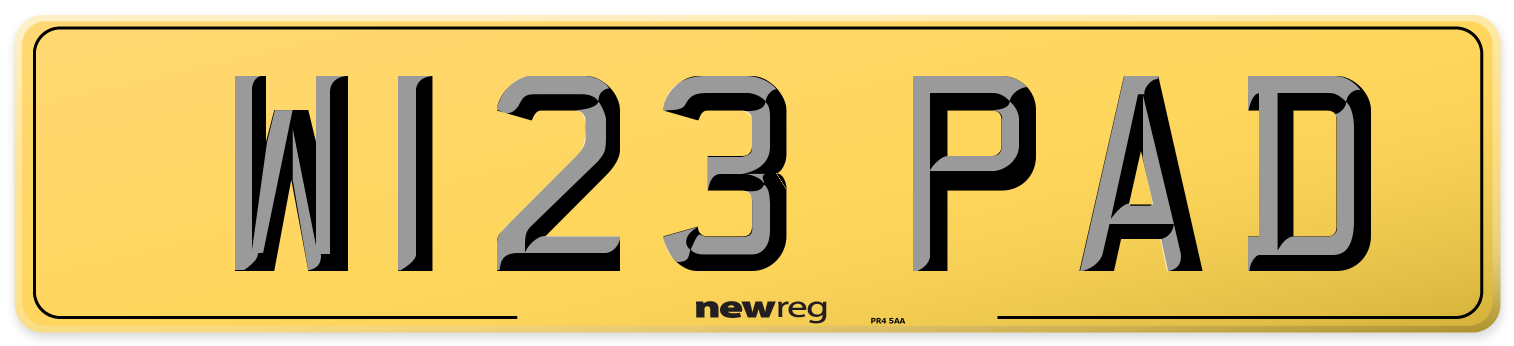 W123 PAD Rear Number Plate