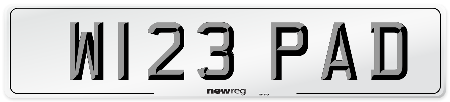 W123 PAD Front Number Plate